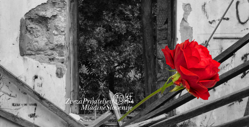 Izdelek-brez-naslova-58-795x405.png